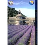 Travellers Provence & the Cote d'Azur (Travellers - Thomas Cook) book cover