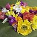 Melissa's Assorted Edible Flowers (40-50 ct.)
