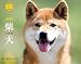 2010柴犬(Yama-Kei Calendar)