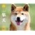2010�Č�(Yama-Kei Calendar)