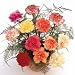 12 Luxury Carnations in Mixed Shades