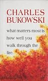 Search : What Matters Most Is How Well You Walk Through the Fire