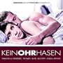 Keinohrhasen