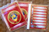 Russian DVD 9 Movies: Tsygan / Gipsy (4 serii) * Kogda derevia bili bol'shimi * Winter cherry (3 serii) * Esche raz pro lubov * 450.16