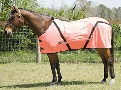 GREAT for HUNTING SEASON!! Gatsby Safety Mesh Fly Sheet