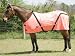 GREAT for HUNTING SEASON!! Gatsby Safety Mesh Fly Sheet