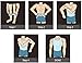 Hanerdun- Mens Slimming Body Shaper Shirt With Zipper Abs Abdomen Slim,Black,XX-Large