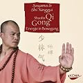 Shaolin Qi Gong. CD: Energie in Bewegung
