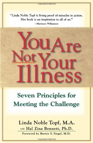you are not your illness seven principles for meeting the challenge
