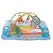 Tiny Love Gymini Total Playground