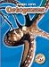 Book Octopuses (Blastoff! Readers) (Blast! Off Readers 2: Oceans Alive) (Blast! Off Readers 2: Oceans Alive)