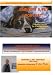 How to Paint a Pet Animal Portrait in oils 