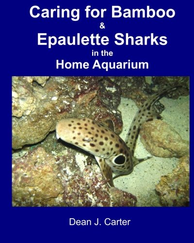 Caring for Bamboo and Epaulette Sharks in the Home Aquarium