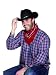 bandanna/neckerchief,western design,red
