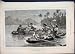 1880 Boat Race Market Tahiti Society Islands Dog Print
