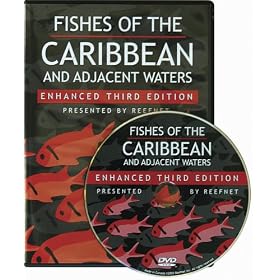 Fishes of the Caribbean and Adjacent Waters, Enhanced 3rd Edition
