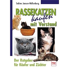 Rassekatzen kaufen mit Verstand