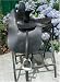 Sporting Goods : Proper Ladies Sidesaddle - Black Leather