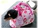   - Plush Dachshund in Carrier Bag