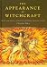 The Appearance of Witchcraft: Images and Social Meaning in 16th Century Europe (Christianity and Society in the Modern World): Images and Social Meaning ... and Society in the Modern World)