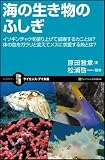 海の生き物のふしぎ イソギンチャクを振り上げて威嚇するカニとは?体の色をガラリと変えてメスに求愛する魚とは? (サイエンス・アイ新書)