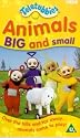 Teletubbies - Animals Big And Small [VHS] [1997]