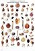 "Fishing News" Books Wallcharts: Seashells (Multilingual Wallcharts) "Fishing News" Books Wallcharts: Seashells (Multilingual Wallcharts)