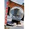 Fiction Books ALA recommends for Young Adults Pt 1