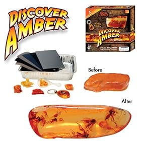  Discover Amber Kit