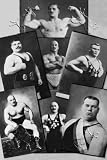 Art Poster, Seven Bodybuilding Champions - 18.75 x 27.5