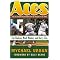 Books about Baseball