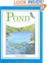 Pond