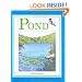 Pond