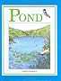 Pond