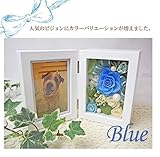 フラデコ　プリザーブドフラワー【ビジョン】(ブルー)