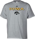Iowa Hawkeyes Adidas Grey True T-Shirt