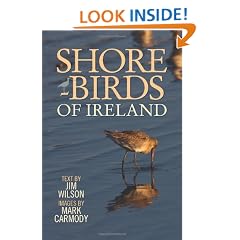 Shorebirds of Ireland: In Words and Pictures