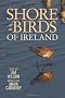 Shorebirds of Ireland: In Words and Pictures