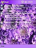 Flower Themes Part 3 (Dreamy House) Highly Recommend !!!