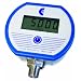 Cecomp Electronics DPG1000B5000PSIG-5 Battery Powered Digital Pressure Gauge, +/- 0.25% Accuracy, 0 to 5000 psig Pressure Range