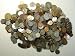 Randomly Selected Foreign Coin Randomly Selected Foreign Coin