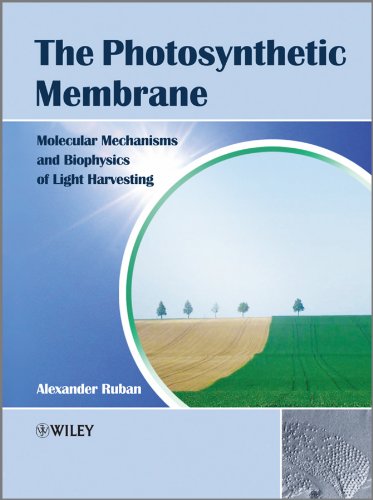 The Photosynthetic Membrane: Molecular Mechanisms and Biophysics of Light Harvesting