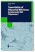 Transcription of Ribosomal RNA Genes by Eukaryotic RNA Polymerase I (Biotechnology Intelligence Unit)
