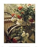 IMAGE OF Sunlit Geraniums HIGH QUALITY CANVAS Print With Light Added BRUSHSTROKES Marilyn Yanke 20x24