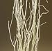 Birch Branches 3-4 Feet Tall, Pack of 5 stems - White