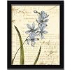 Floral Studies I Botanical Purple Flower By Phillippa Collection Art Print Poster Picture Framed Decor 10X12