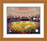 Framed 16 X 20 Tropicana Field Tampa Bay Rays Photo