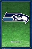 Seattle Seahawks (New Logo) Sports Poster Print - 24 X 36