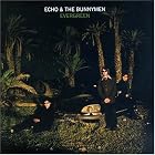 Evergreen by Echo & The Bunnymen