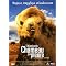 Films d'Asie et de Russie (1/3)